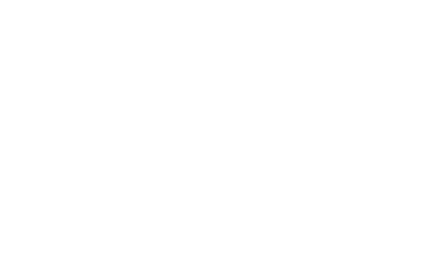 X-BORDER